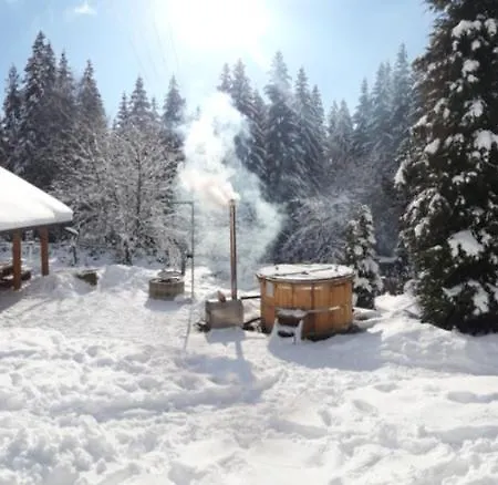 Sielankowo-dom Na Wylacznosc Hébergement de vacances Istebna